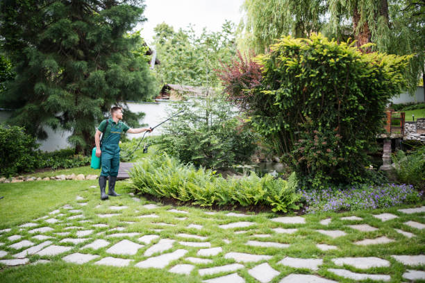 Best Cockroach Control Services  in Riverbank, CA