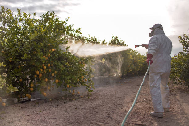 Best Best Pest Control Companies  in Riverbank, CA