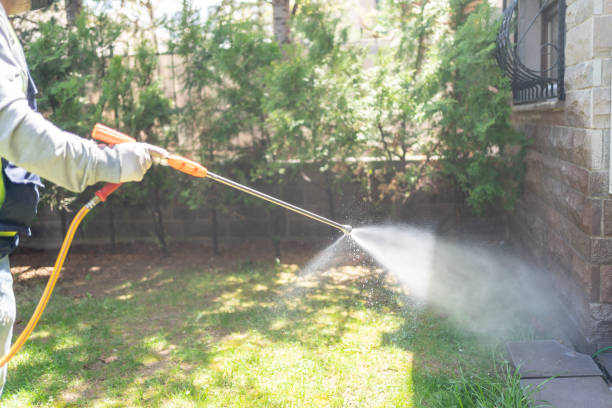 Best Flea Control Services  in Riverbank, CA