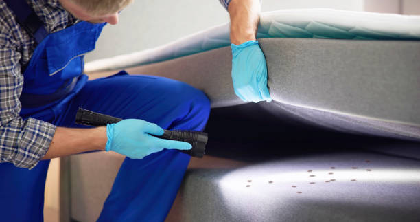 Best Termite Control Services  in Riverbank, CA
