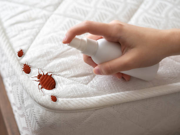 Pest Prevention Services in Riverbank, CA
