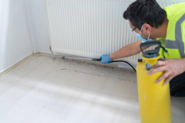 Best Emergency Pest Control  in Riverbank, CA