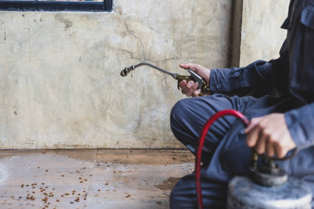 Best Pest Removal Services  in Riverbank, CA