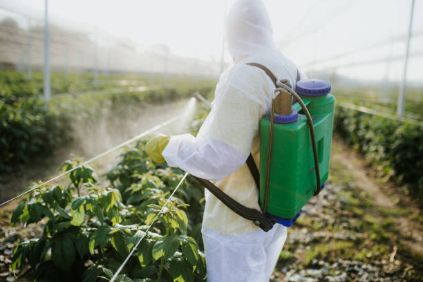 Best Residential Pest Control  in Riverbank, CA
